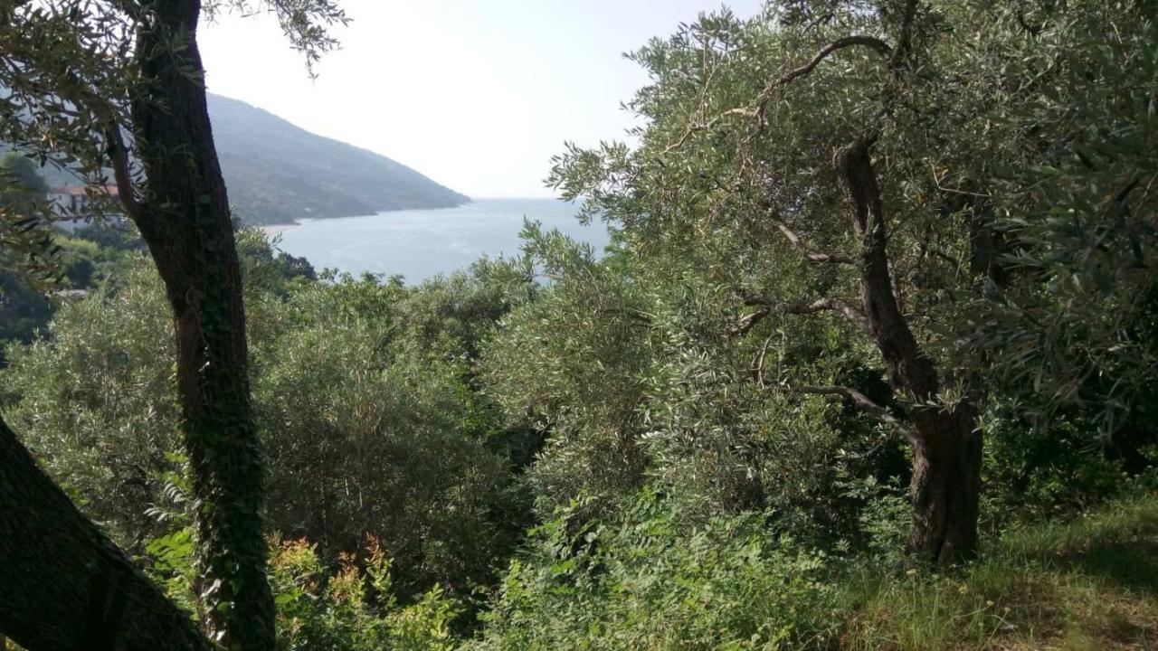 Alex Seaview House Διαμέρισμα Χορευτό Εξωτερικό φωτογραφία